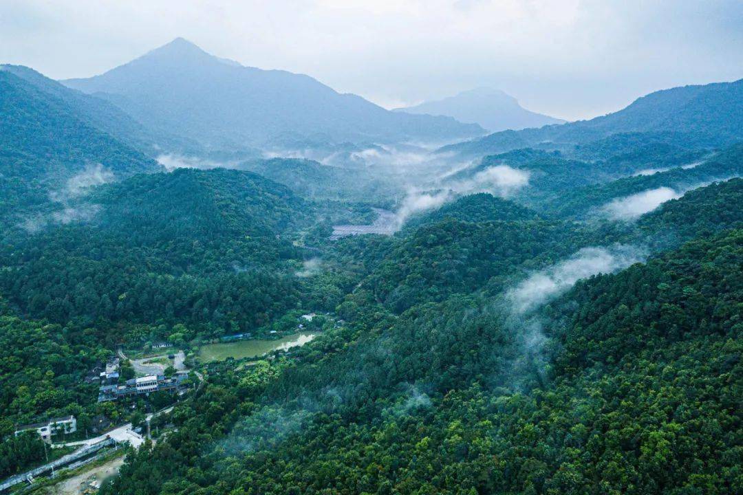 我们的国家公园|海南热带雨林国家公园体制试点区