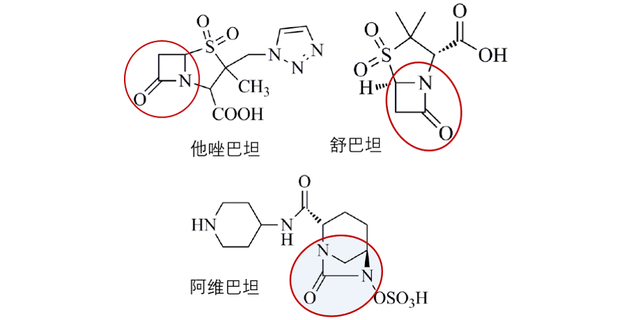 头孢他啶阿维巴坦,头孢哌酮舒巴坦,哌拉西林他唑巴坦之间的区别!