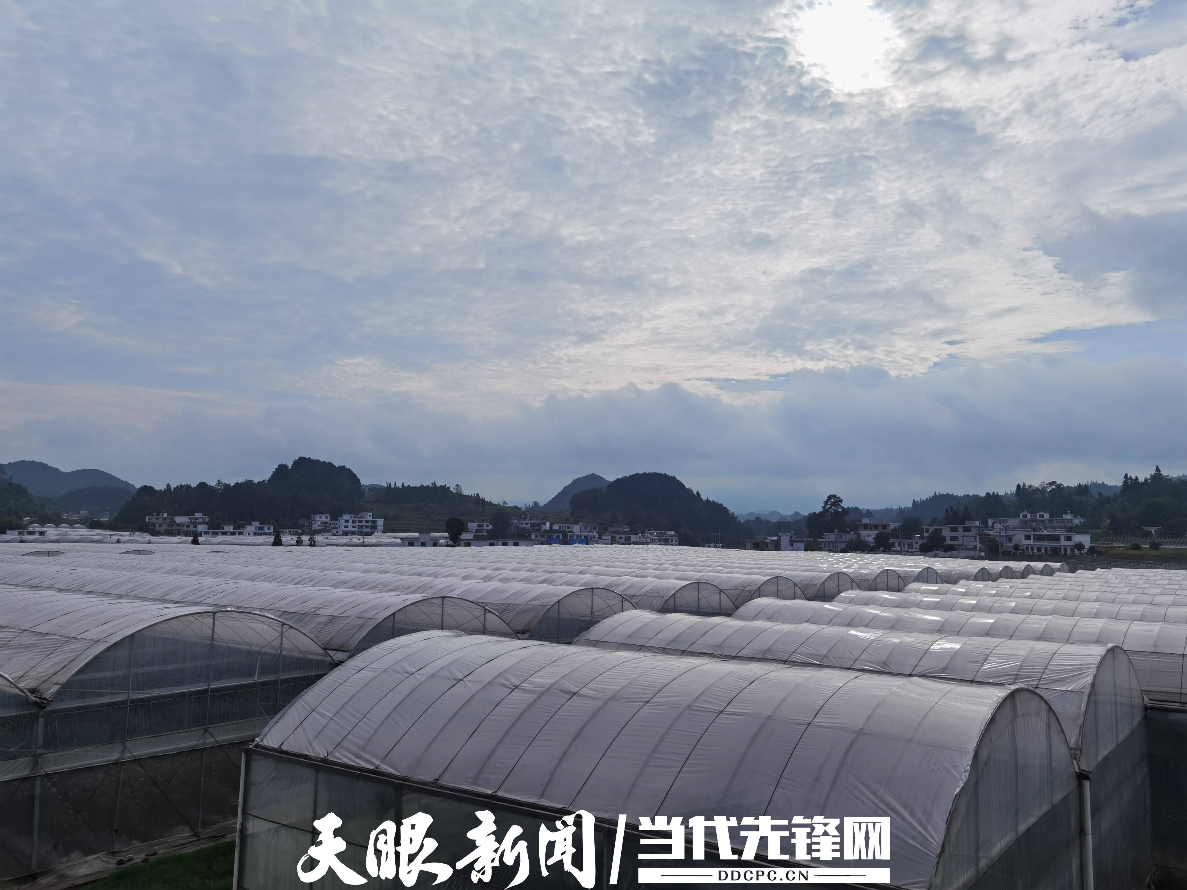 清镇优化推广网站 来自搜狐网