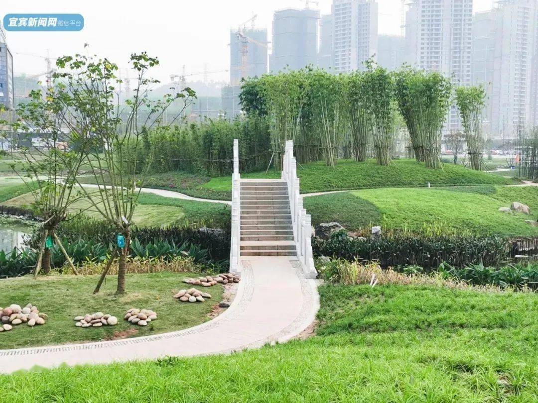 宜宾,也是一座公园城市.