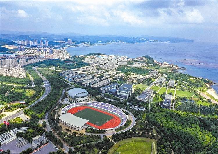 旅顺南路大学城两侧树木成荫,让人心旷神怡.