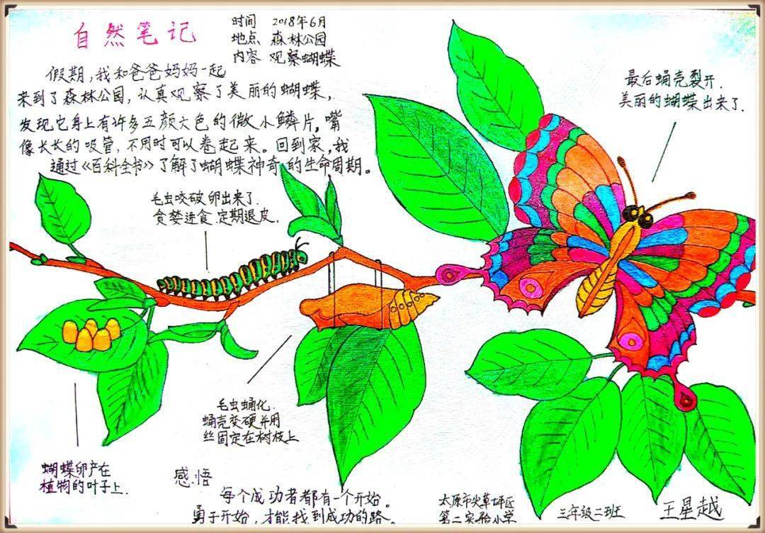 生物多样性看山西自然笔记大赛作品展三