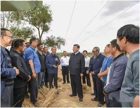 (图为习近平在八步沙林场考察,新华社记者鞠鹏 摄)