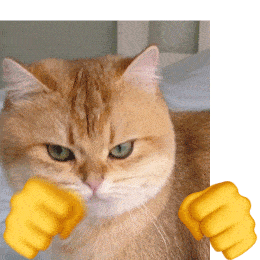 猫猫狗狗打拳表情包,都给我进来挨揍