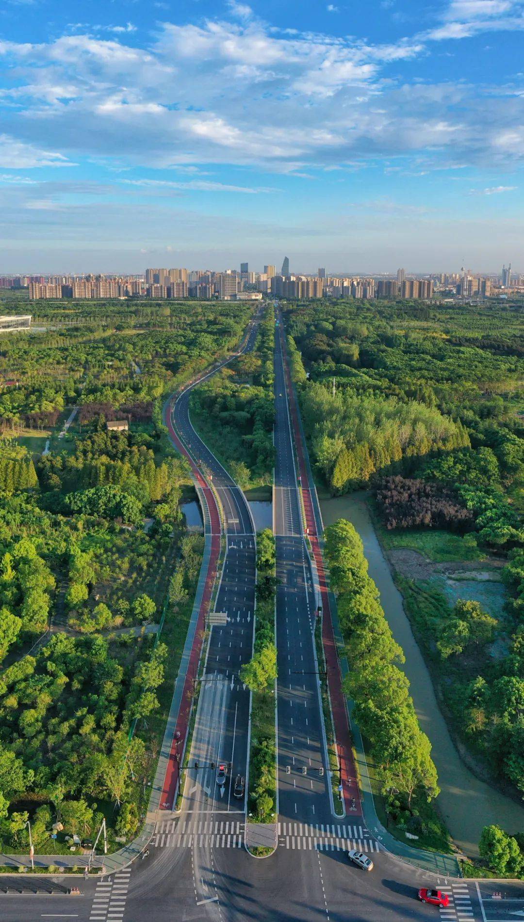 望园路森林大道