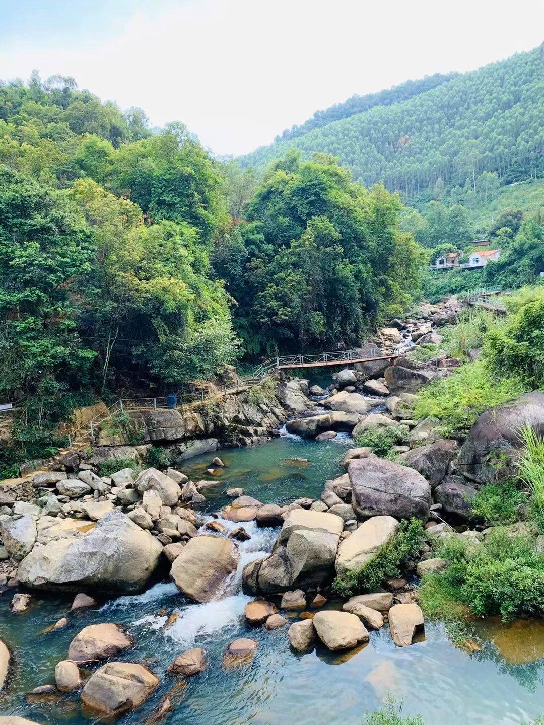 平均19℃!肇庆新地标!仅需$299!|盛夏避暑山水泳池.夜宿玻璃木屋