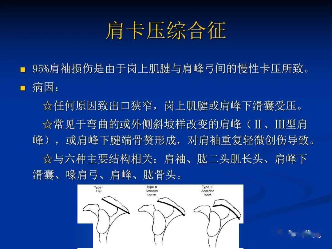 肩袖解剖及损伤的临床及mri诊断