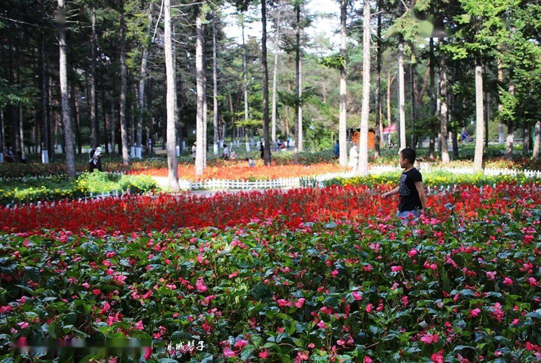 【哈尔滨】植物园,再回首恍然如梦