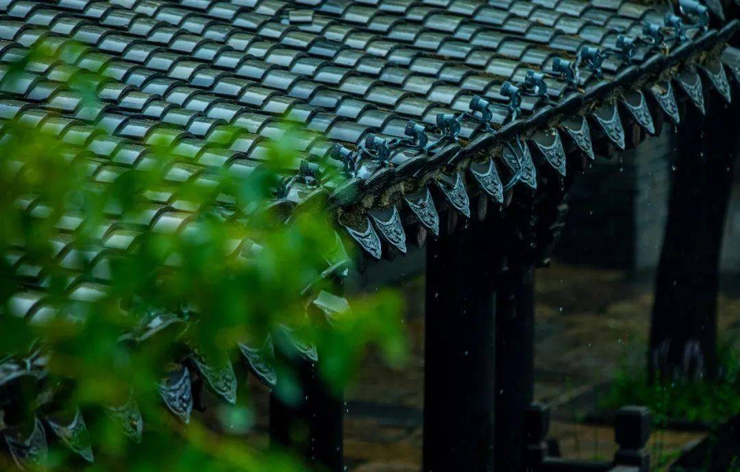 运河风情游 | 半城烟雨始入画,我们一起听听初秋古城台儿庄雨里的声音