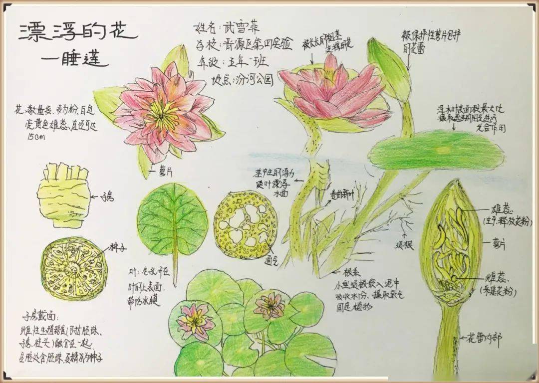 生物多样性看山西自然笔记大赛作品展六