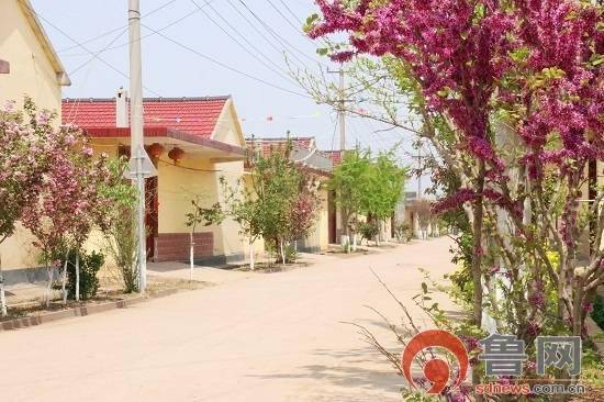临沂市莒南县岭泉镇:坚持一线工作法打好蓝天,碧水,净土保卫战
