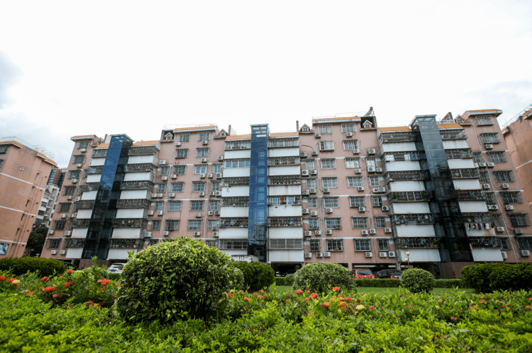 可以看到小区美丽的大花园 作为宝安区既有住宅加装电梯示范小区 建安