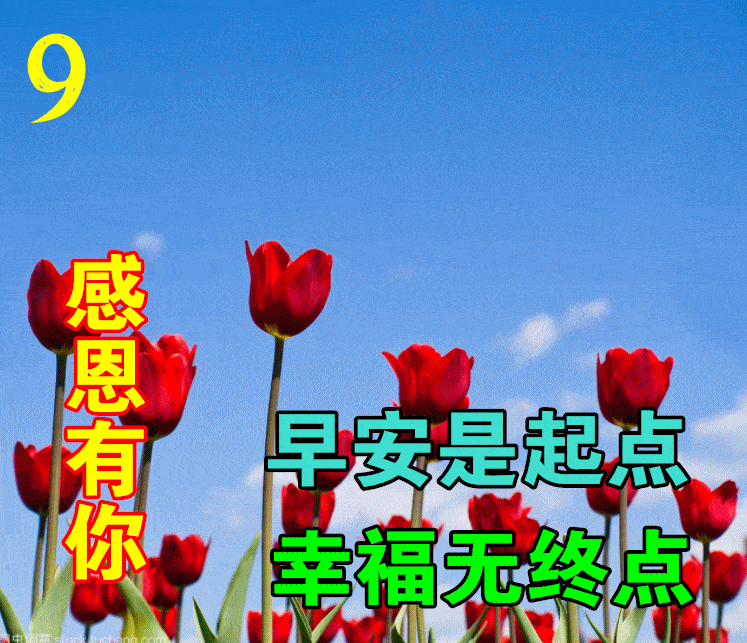 9月2日最漂亮早上好动态表情图片大全,早上好动图美图