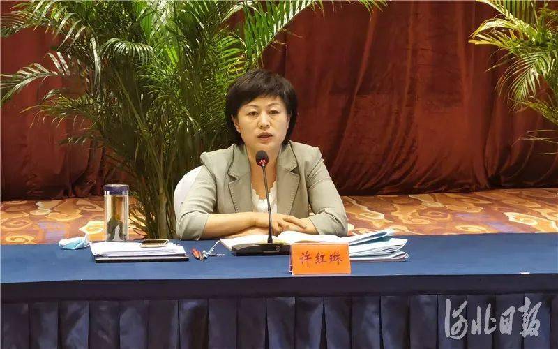图为秦皇岛市委常委,统战部长许红琳发言.