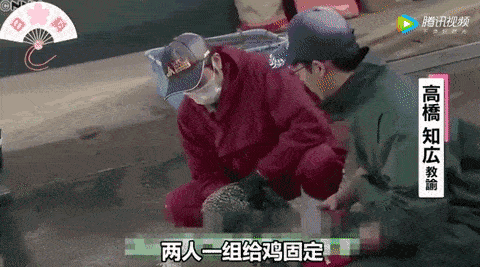 震惊!日本博主直播养宠物猪100天后,把猪做成烤乳猪吃掉了.