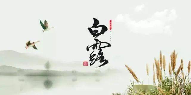 今日,白露!