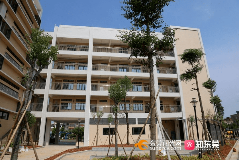 新增学位约37万个东莞又一大批学校上新啦