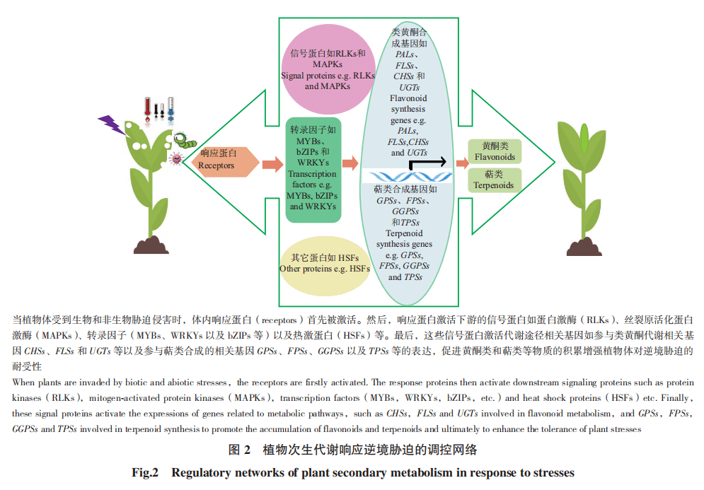 1 生物逆境下植物代谢组重塑的多样性2 逆境胁迫下植物代谢组重塑的
