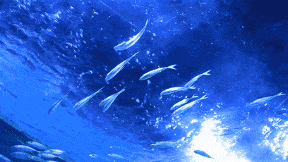 局(efsa)建议  ,2-18岁孩童每日 dha epa的摄入量需要保持在250mg左右