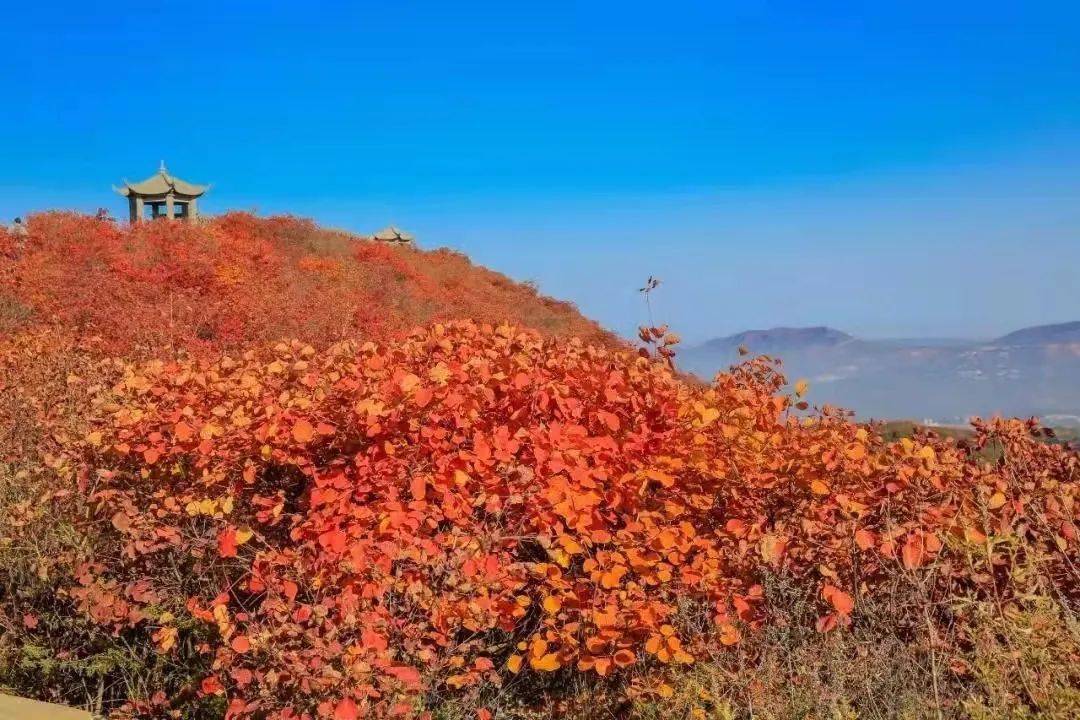 【音乐旅程】郑州秋日爬山好去处丨走,爬山去!