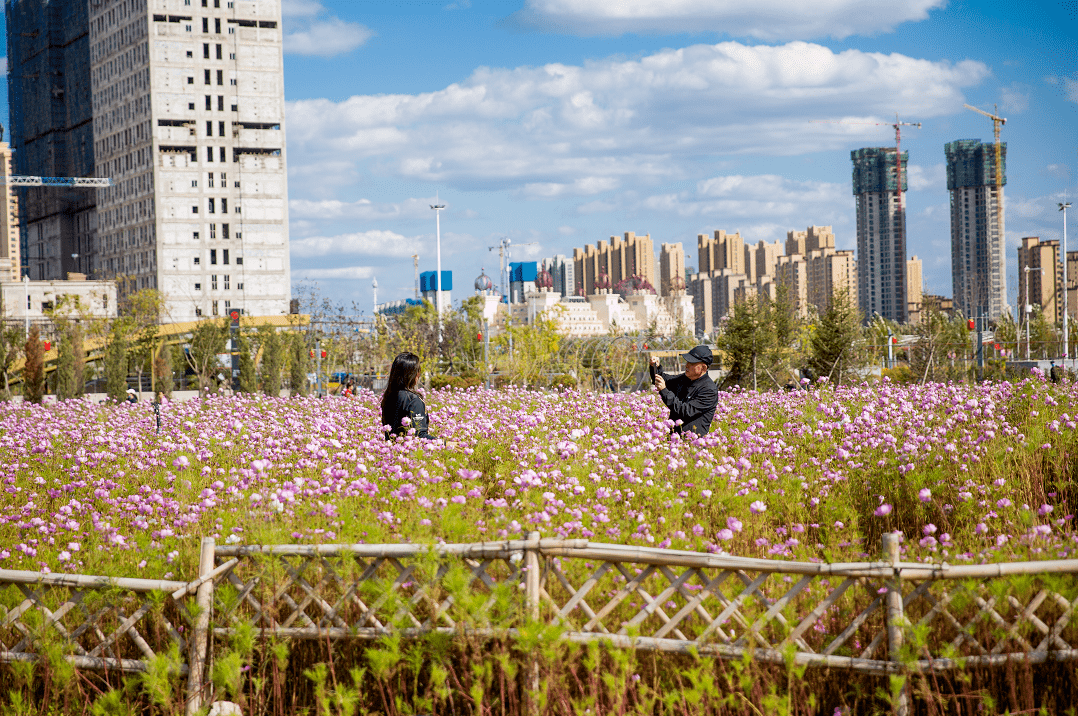 沈阳这个地铁站,被花海包围了_沈北新区