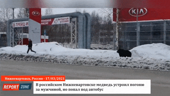 熊在俄罗斯没地位这件事儿是真的吗