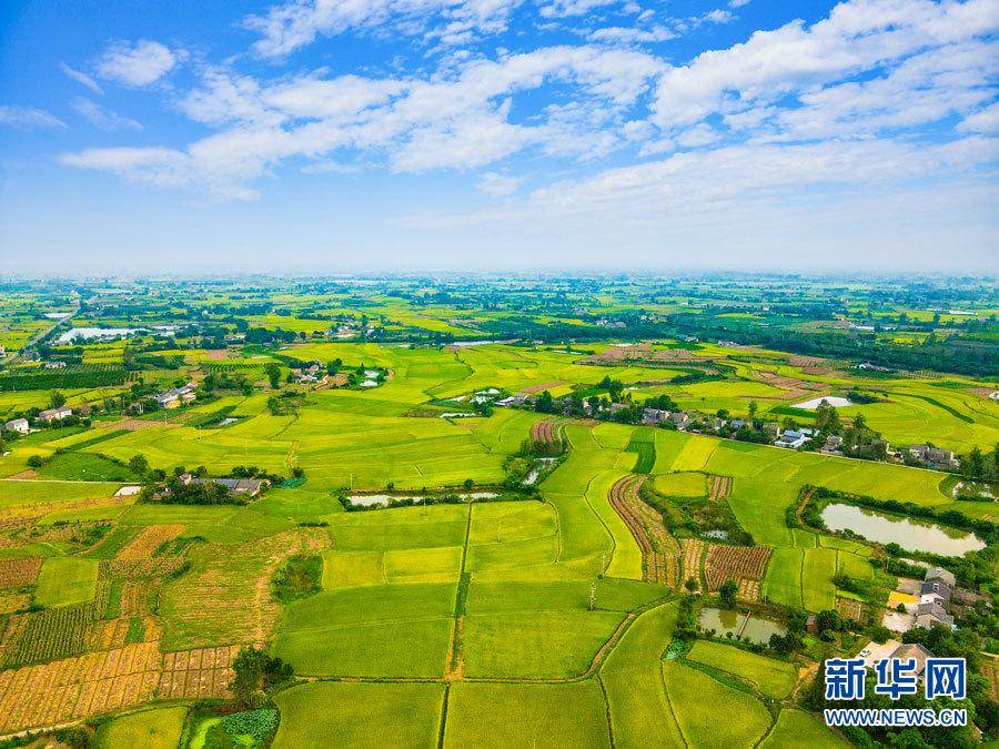 航拍湖北省枝江市问安镇袁码头村田园风景如画.新华网发 陈黄奎 摄