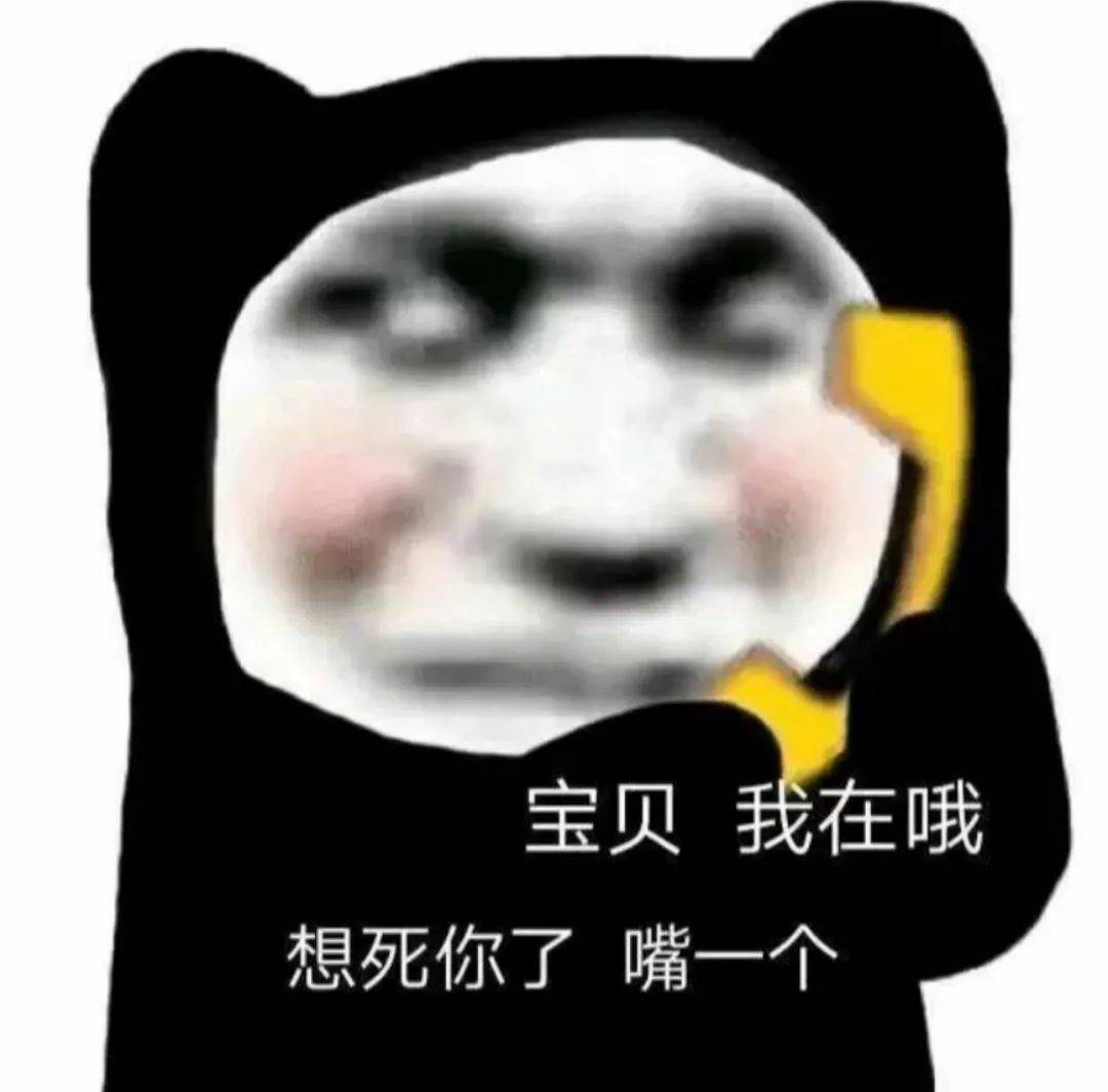 熊猫头表情包 emo不是装的 我是真的活不明白!