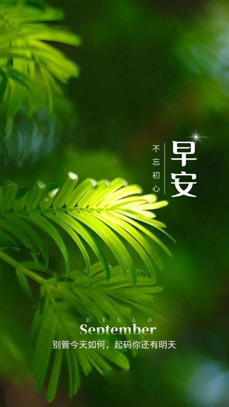 912早安新的一天新的开始