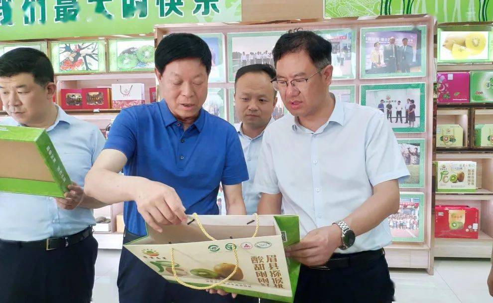 展示眉县风采 9月14日下午,县委副书记,代县长张小平调研眉县猕猴桃