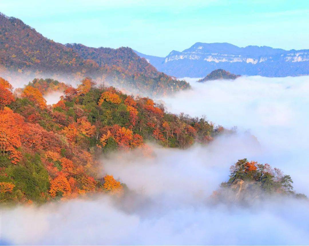 与充满灵气的山谷,清澈的溪流,皑皑的雪峰一起, 09 光雾山 这个地方