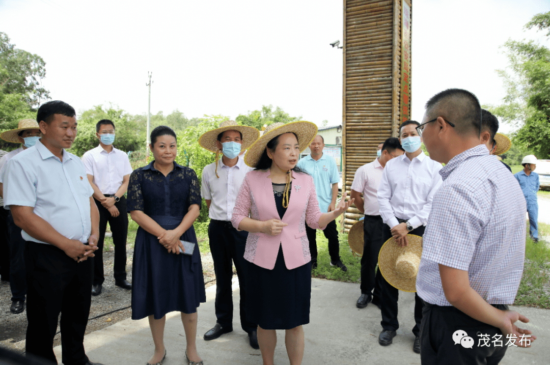 视频丨袁古洁到滨海新区调研坚持党建引领强化产业支撑着力打造具有