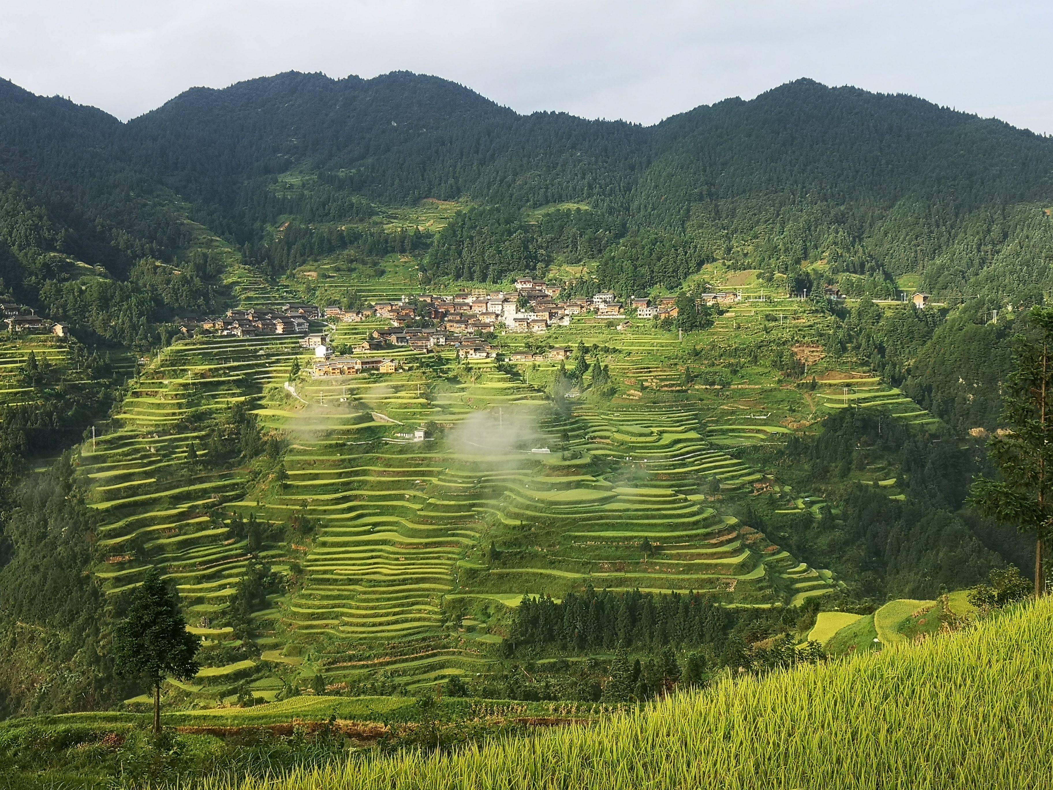 快来围观央视走进乡村看小康直播节目今天聚焦雷山县白岩村