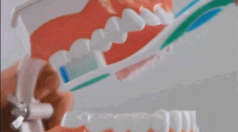 全国爱牙日盘点刷牙七大误区90的人都刷错了