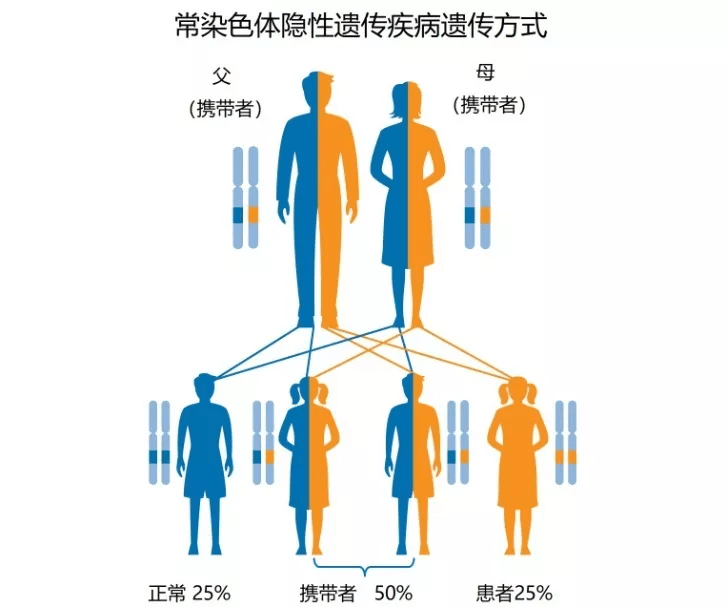 蒋玮莹解释到,所谓罕见遗传代谢病是相对于常见的疾病来说,发病率很低