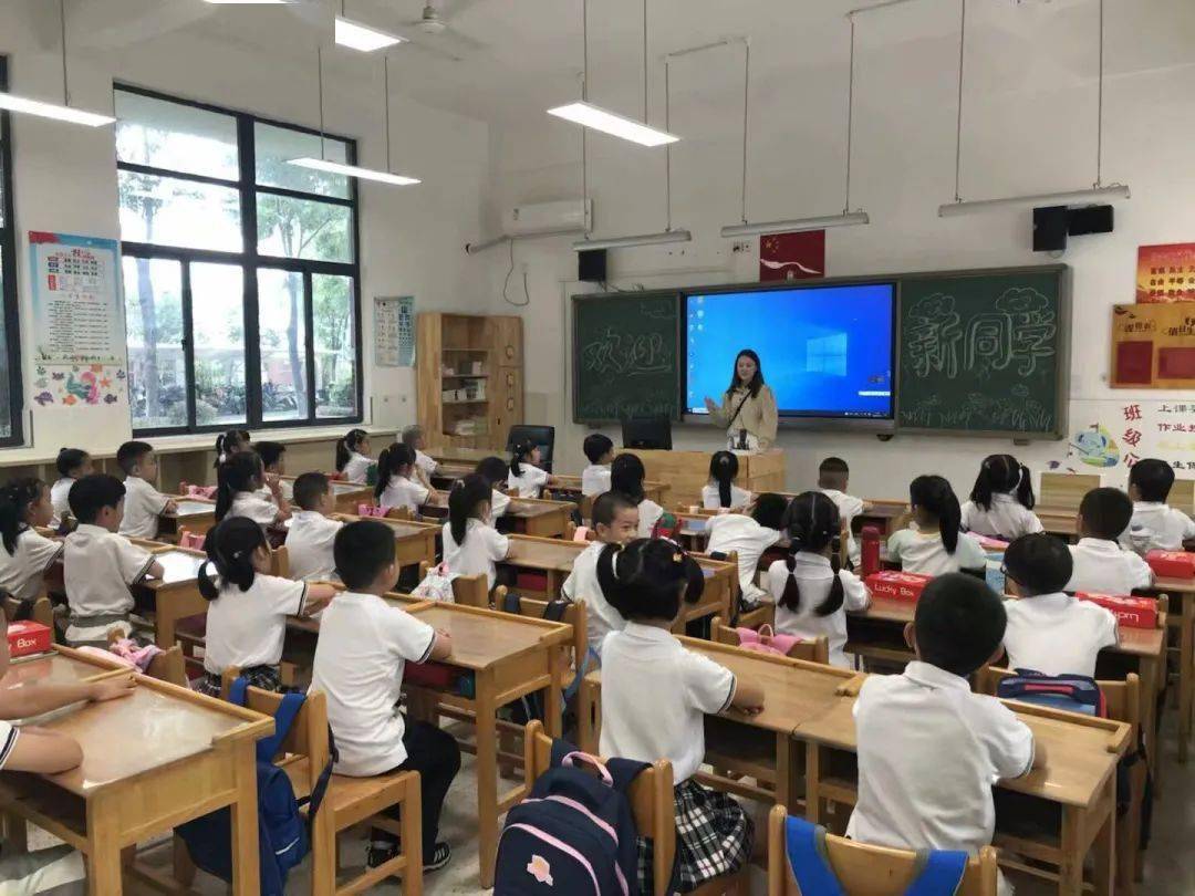 校园新闻科睿小学科学衔接快乐启航