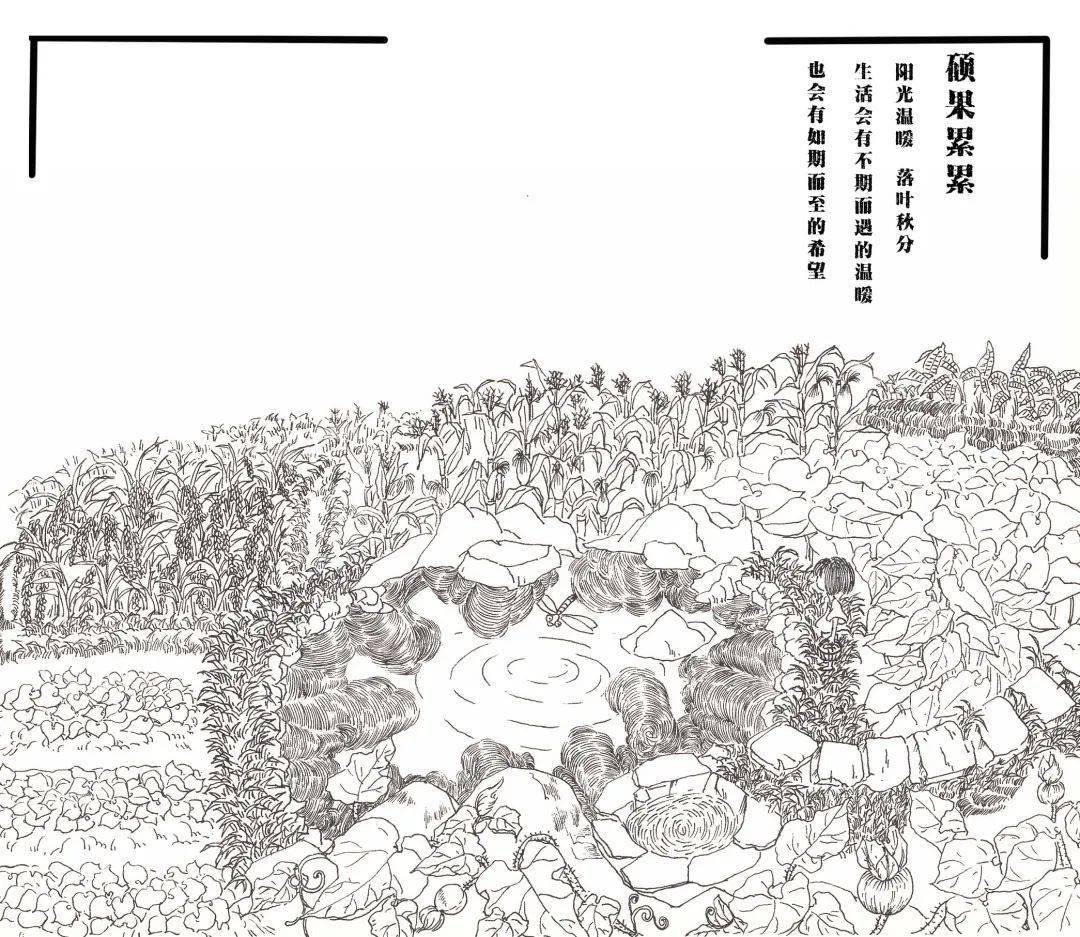 今日秋分,也是"丰收节"