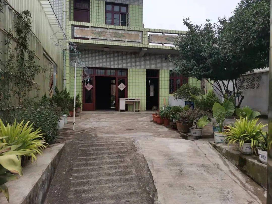 八卦洲街道妇联开展美丽庭院创建检查评比活动