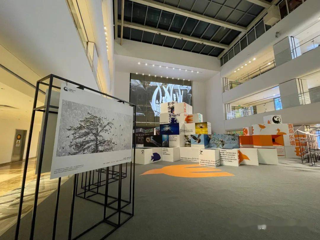 在其上静态展示,让观众可以更加沉浸地体验 画面和生命本身的冲击力