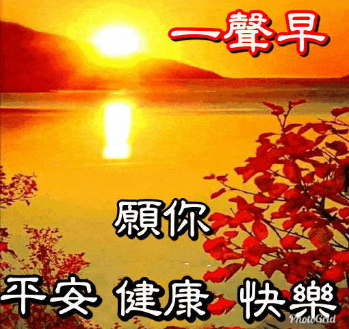 不用打字就可以聊天的图片