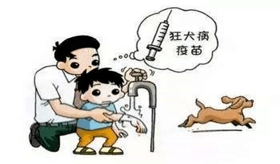 3.什么情况下打狂犬疫苗?