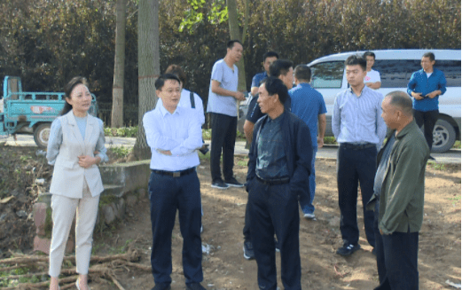 (来源:临颍县广播电视台新媒体中心) 日前,县委副书记,县长李俊伟到