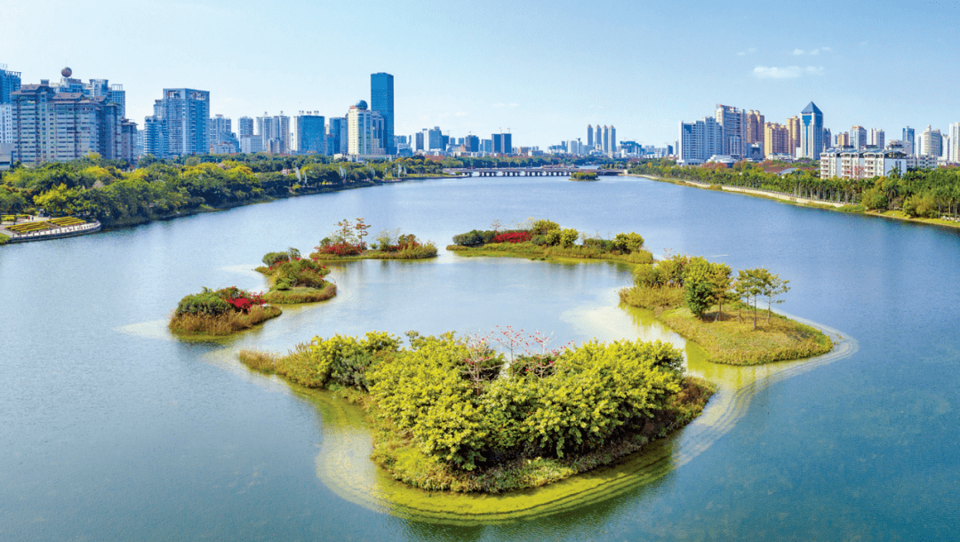 南湖公园风景如画.图/南宁日报记者 黄维业 摄