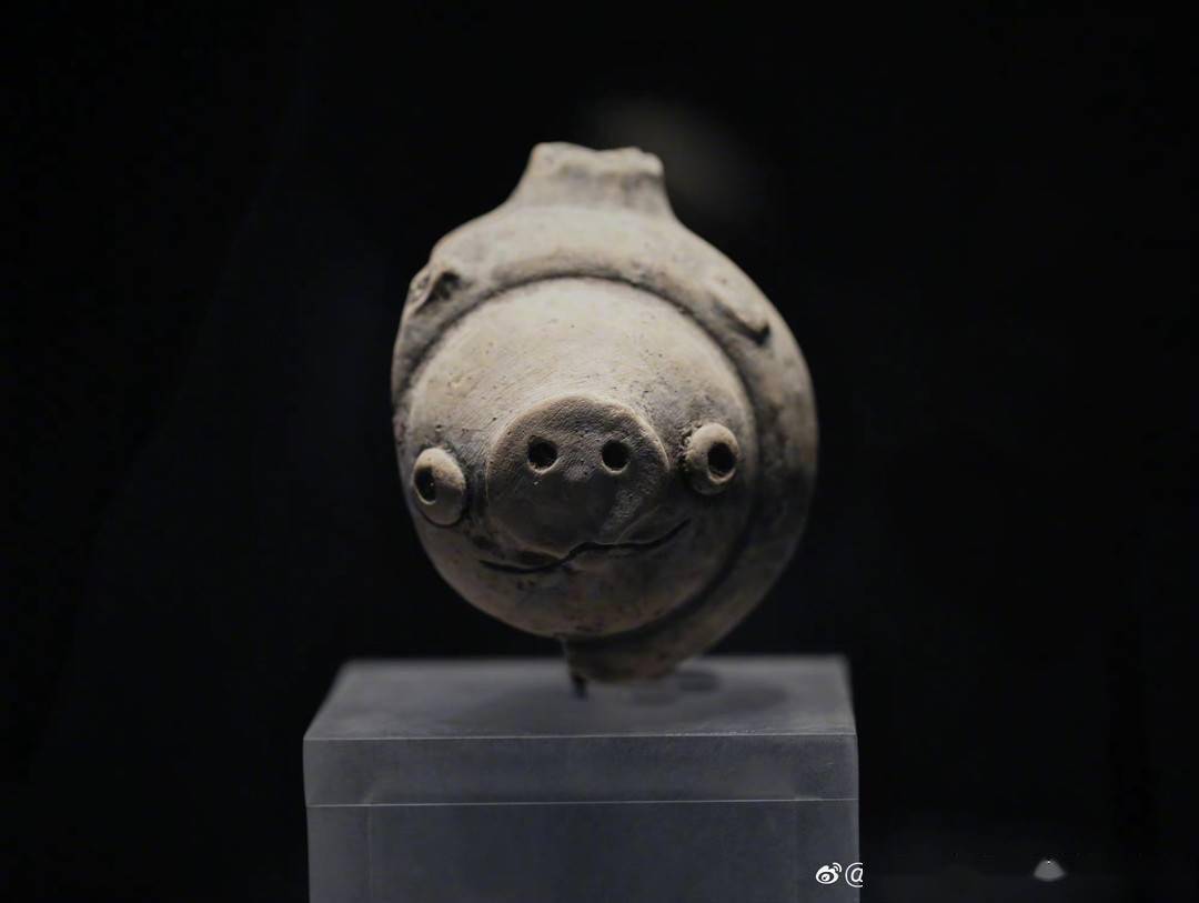 三星堆博物馆展出陶猪
