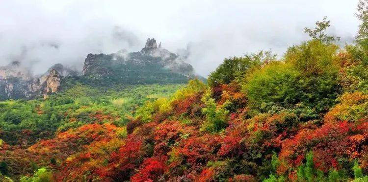 10月15号 红叶醉深秋,情动太行山【八泉峡首届徒步,赏秋,摄影节】