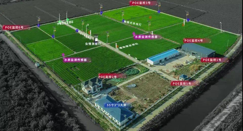 湖北首家数字化水稻育种研发基地亮相武汉