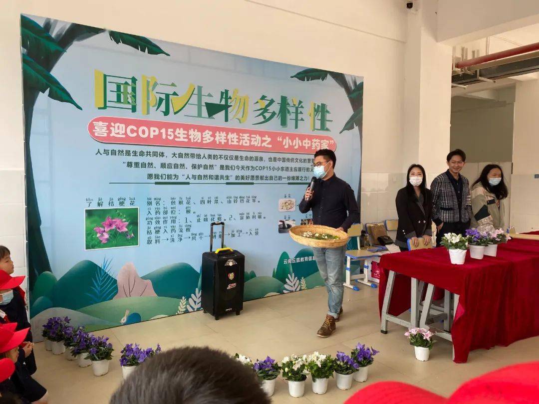 cop15生物多样性的绘画,cop15生物多样性素材 喜迎cop15生物多样性活动之小小中草药
