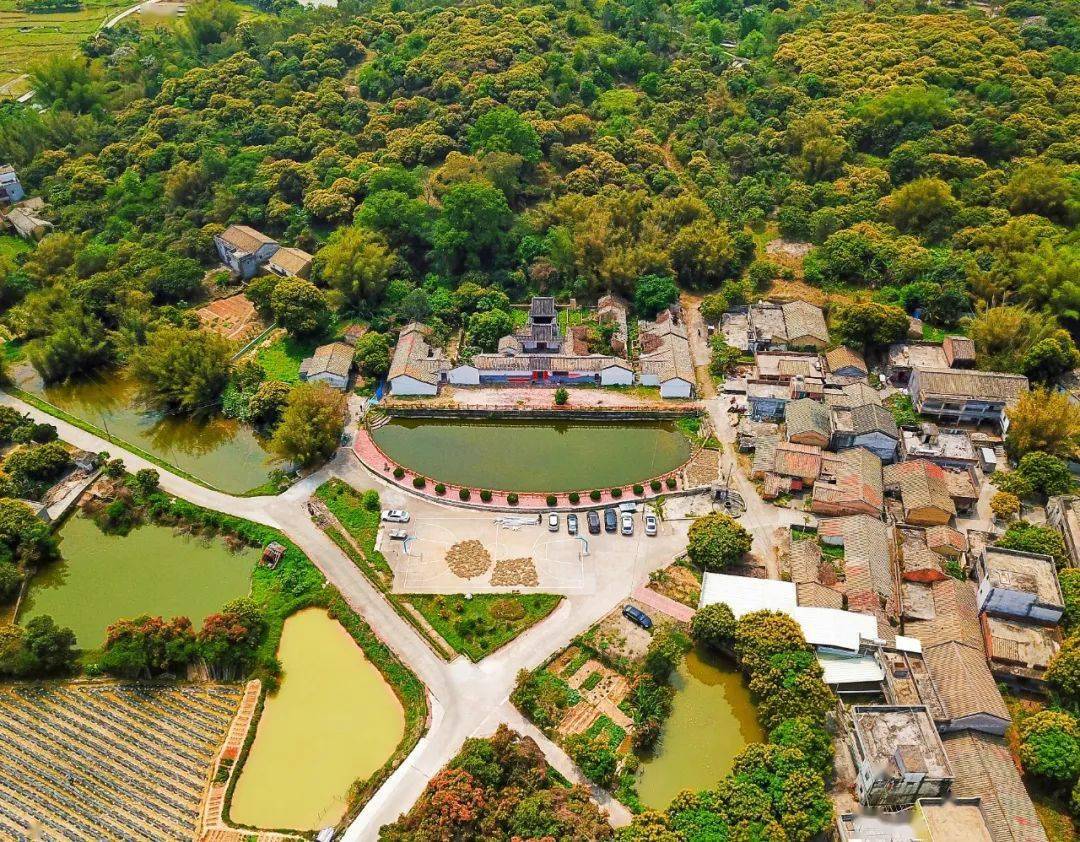 醉美惠州乡村旅游系列攻略 惠阳篇 乡村旅游示范村 良井镇矮光村 农旅