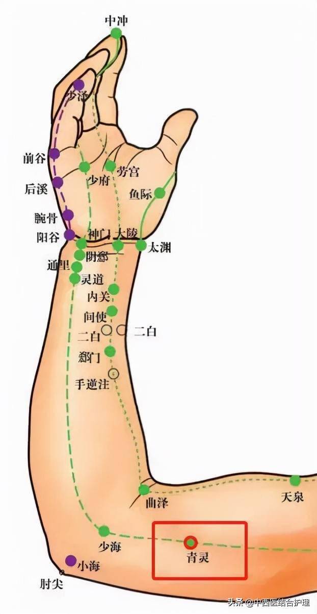 【简易取穴法】正坐,抬起右臂和肩平,肘弯屈,小臂向上,左手五指并拢