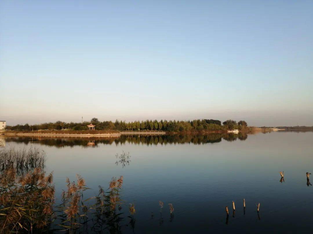 时下正值秋季 孟家沟水库 波光粼粼  田畴流金 鸟儿嬉戏 与美丽乡村